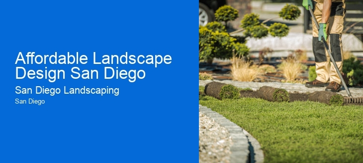 Affordable Landscape Design San Diego