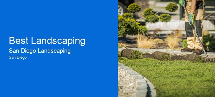 Best Landscaping
