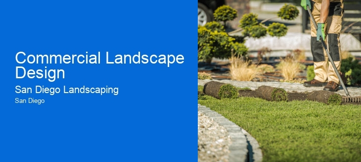 Commercial Landscape Design