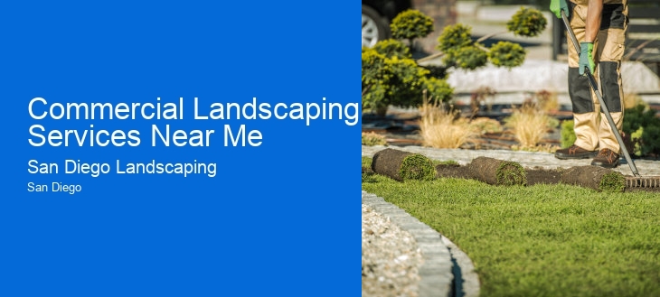 Commercial Landscaping Services Near Me