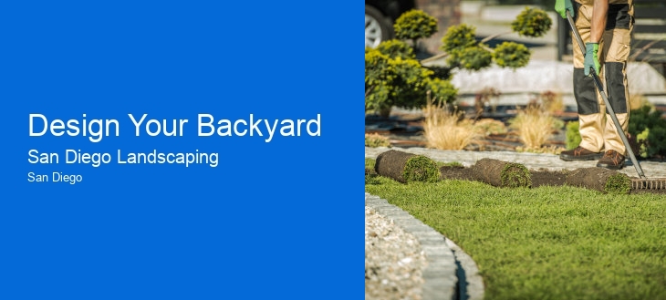 Design Your Backyard