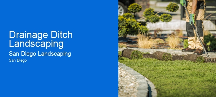 Drainage Ditch Landscaping