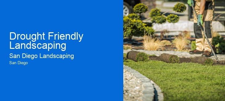Drought Friendly Landscaping
