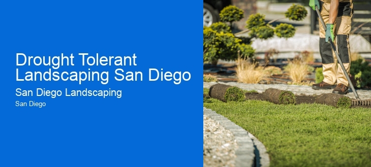 Drought Tolerant Landscaping San Diego