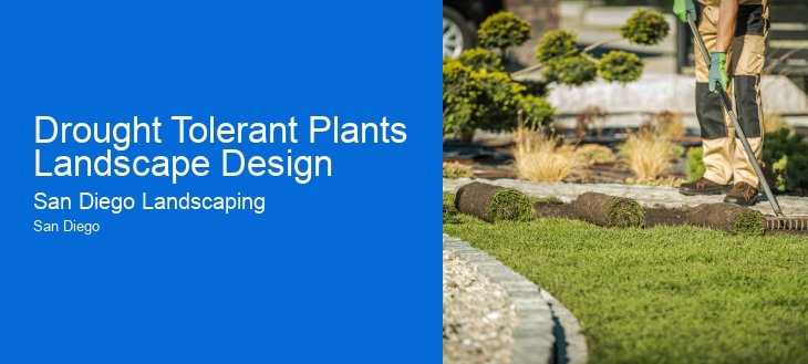 Drought Tolerant Plants Landscape Design