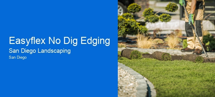 Easyflex No Dig Edging