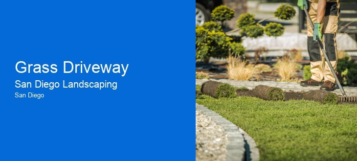 Grass Driveway