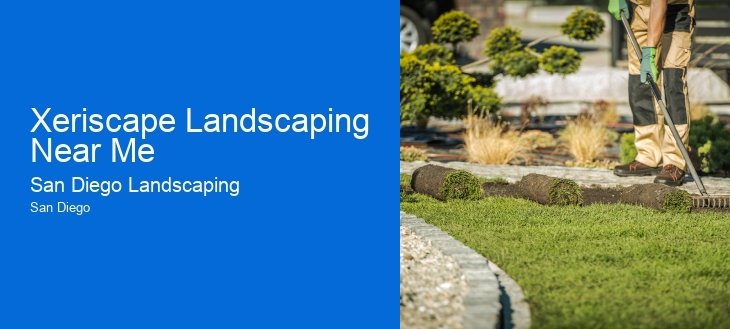 Xeriscape Landscaping Near Me